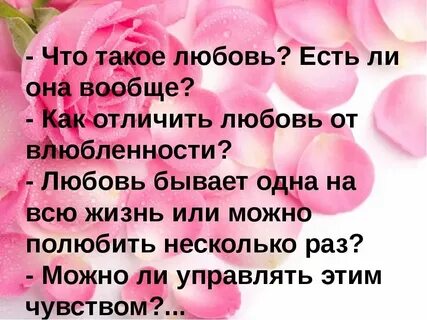 Катя что такое любовь