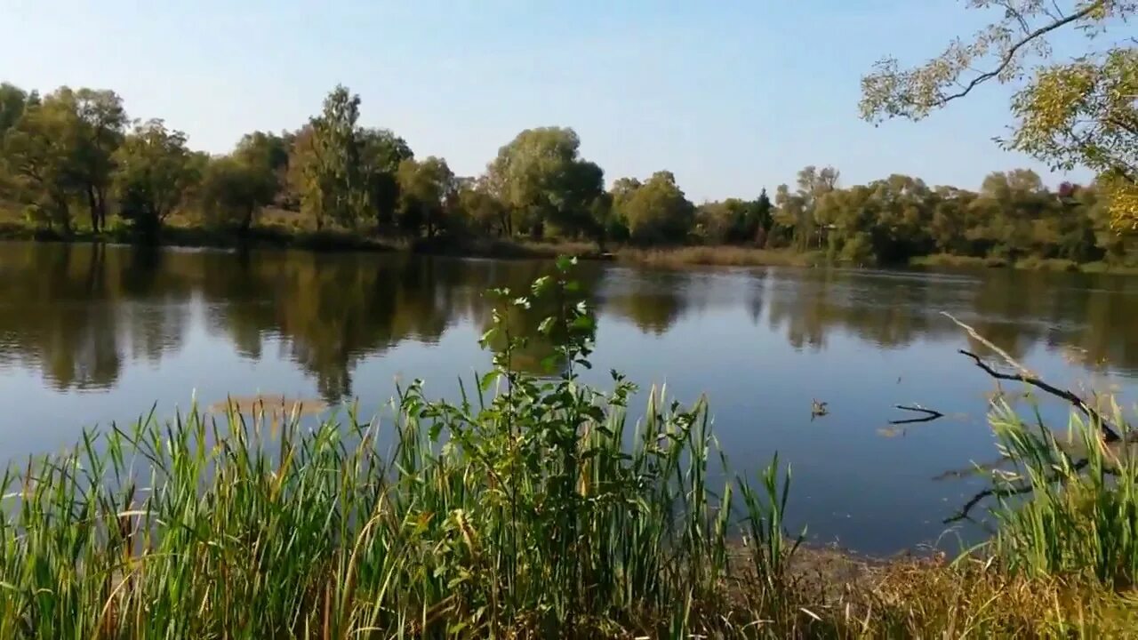 Поселок стрелецкий орловская. Пруд на ЗБК Орел. Стрелецкий пруд Орел. Посёлок Стрелецкий Орловская область пруды. Город орёл поселок Стрелецкий.