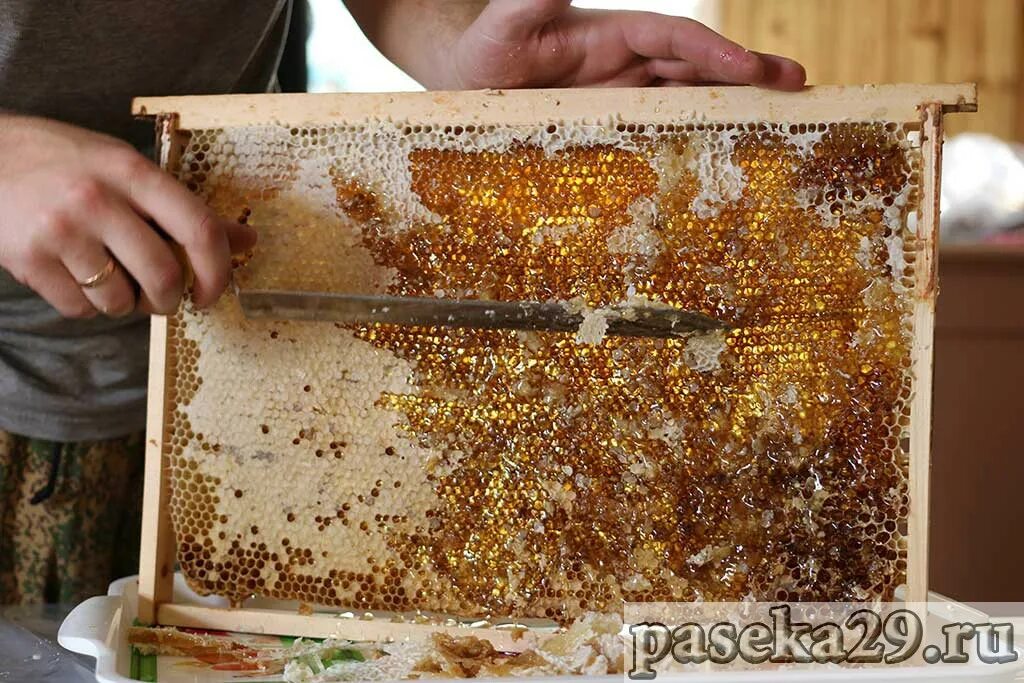 Магазинная рамка с медом. Запечатанная рамка. Дадан рамка для сотового меда. Рамка соты. Рамка с медом.