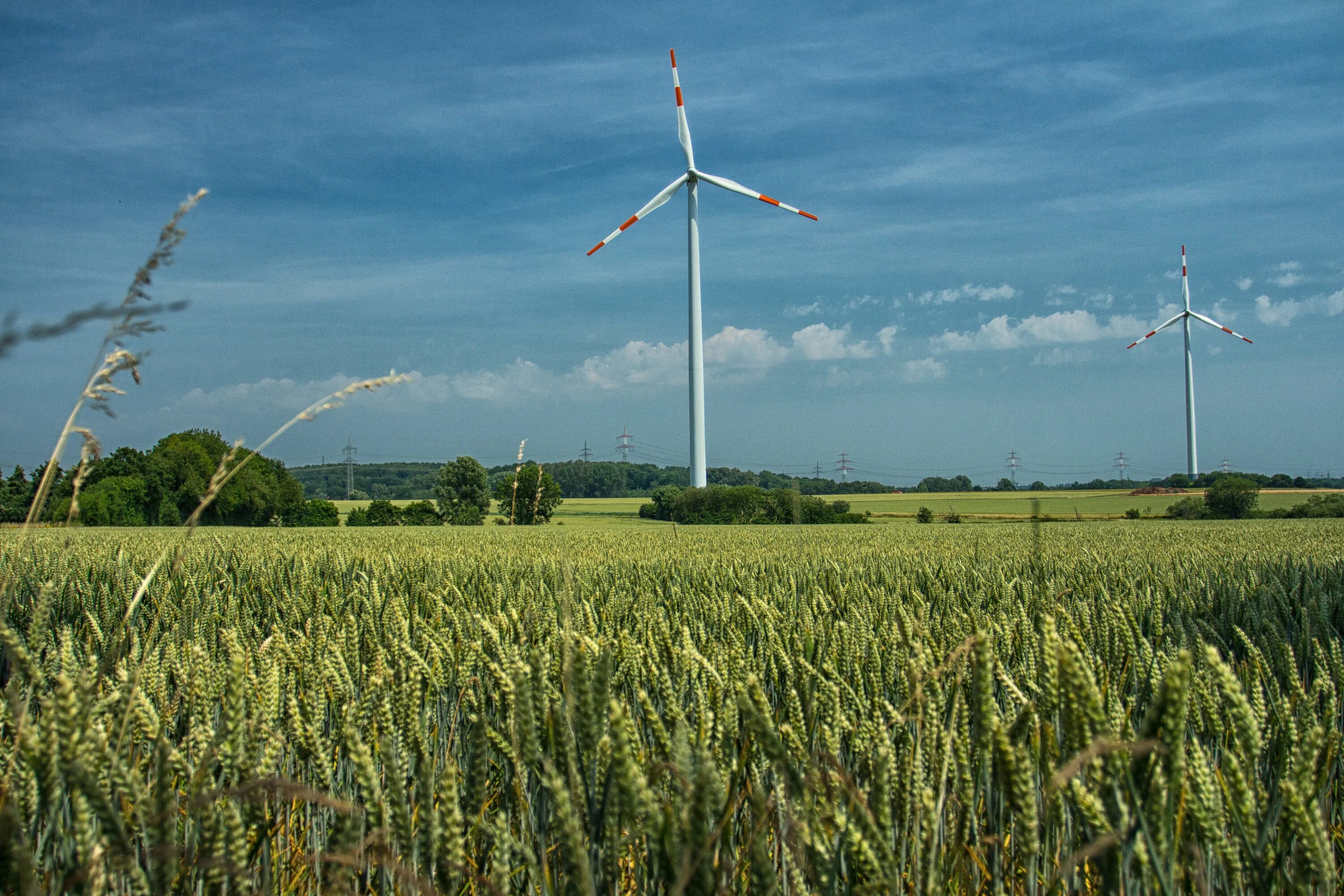 Technical field