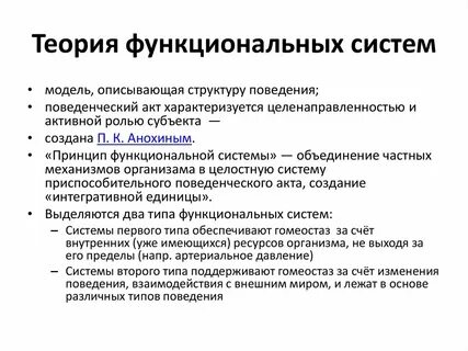 Модель функциональной системы разработал