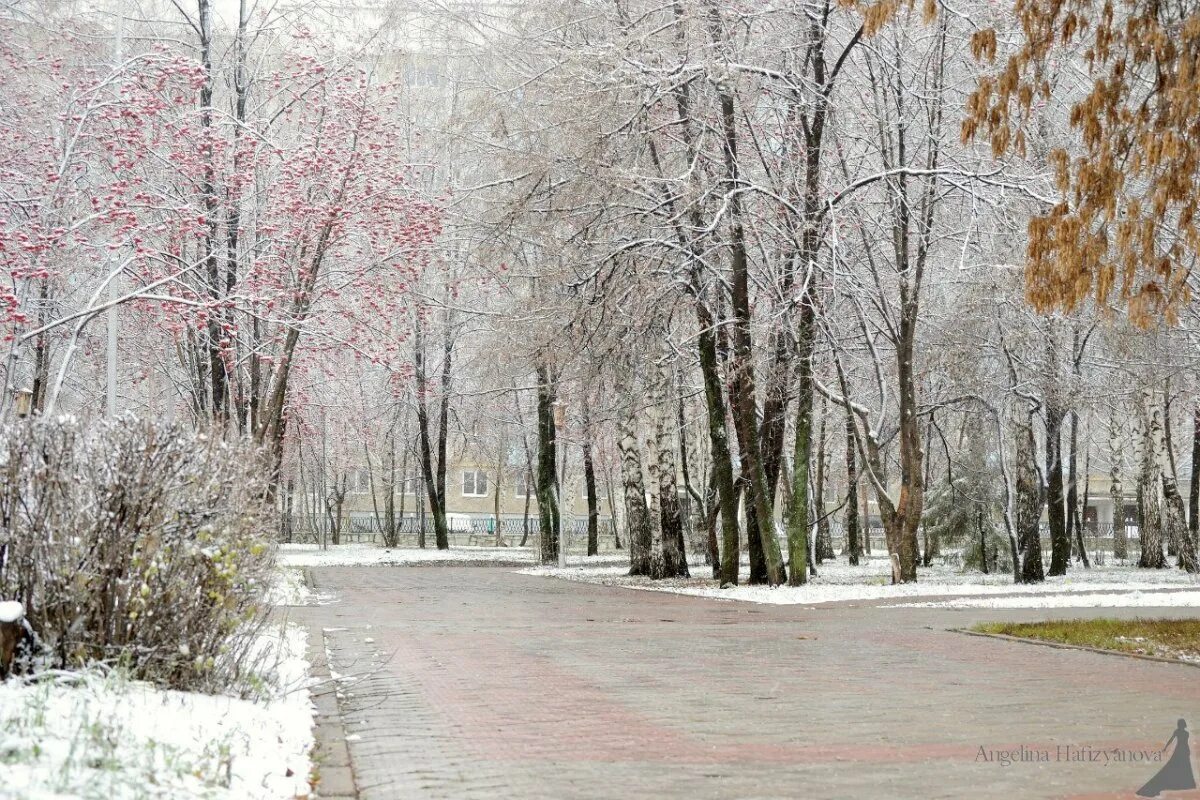 Стерлитамак баш. Стерлитамак зима. природа в городе стерлитамак. стерлитамак зимой. зимний город стерлитамак.