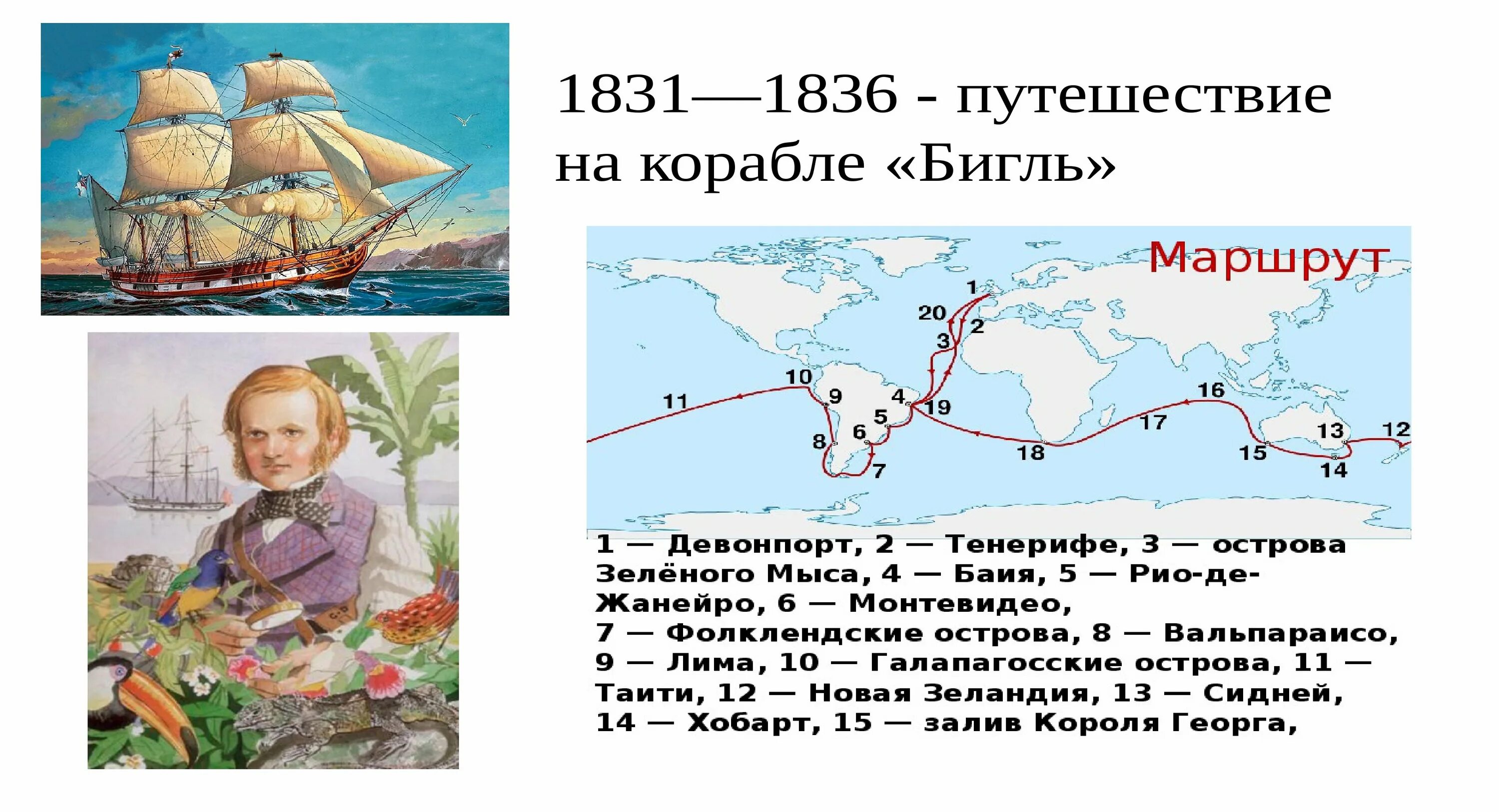 Кругосветное путешествие австралия. Путешествие Дарвина на корабле Бигль. Карта путешествия Чарльза Дарвина на корабле Бигль.