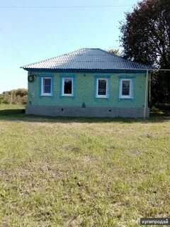 Погода новониколаевский волгоградской алексиковский