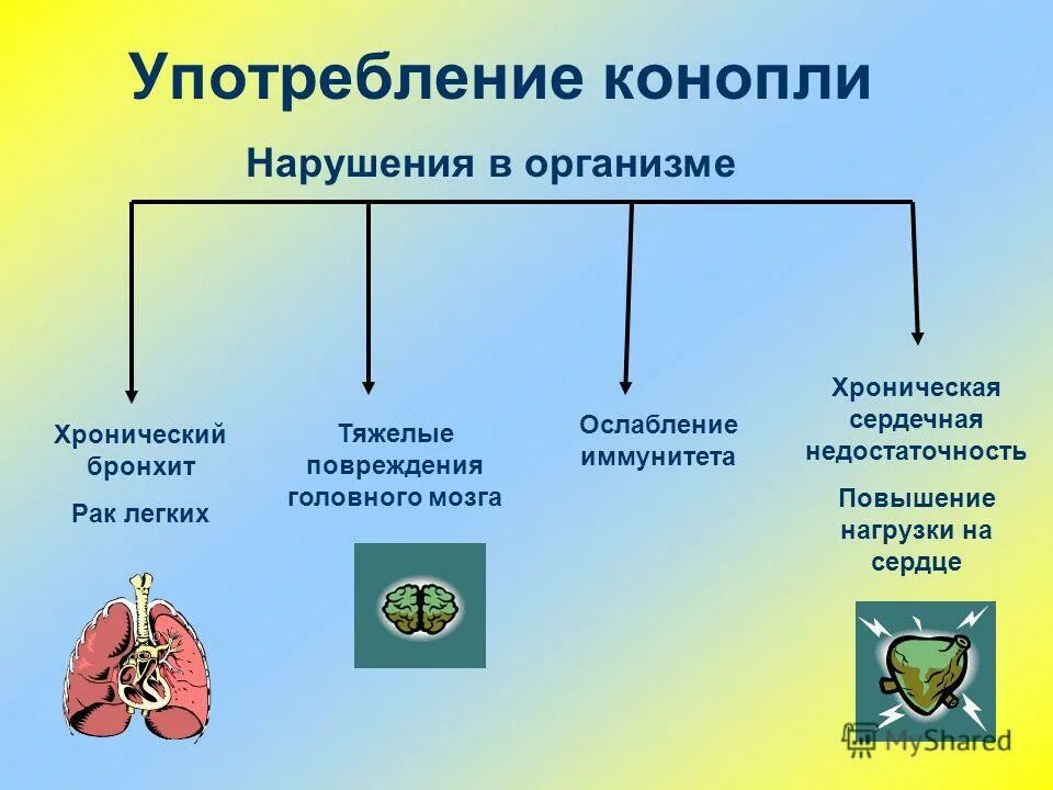 нарушение внешнесекреторной функции поджелудочной железы симптомы. заболевания нарушения метаболизма. основной и общий обмен веществ. нарушение обмена веществ заболевания. какие нарушения в организме.