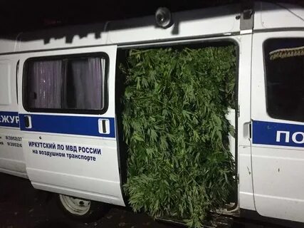 Как поймать преступника