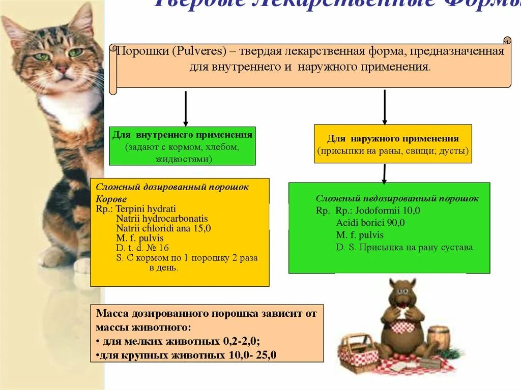 Тест твердые лекарственные формы. Лекарственные формы для наружного применения. Лекарственные формы для животных. Твердые ветеринарные лекарственные формы. Схема лекарственных форм для наружного применения.