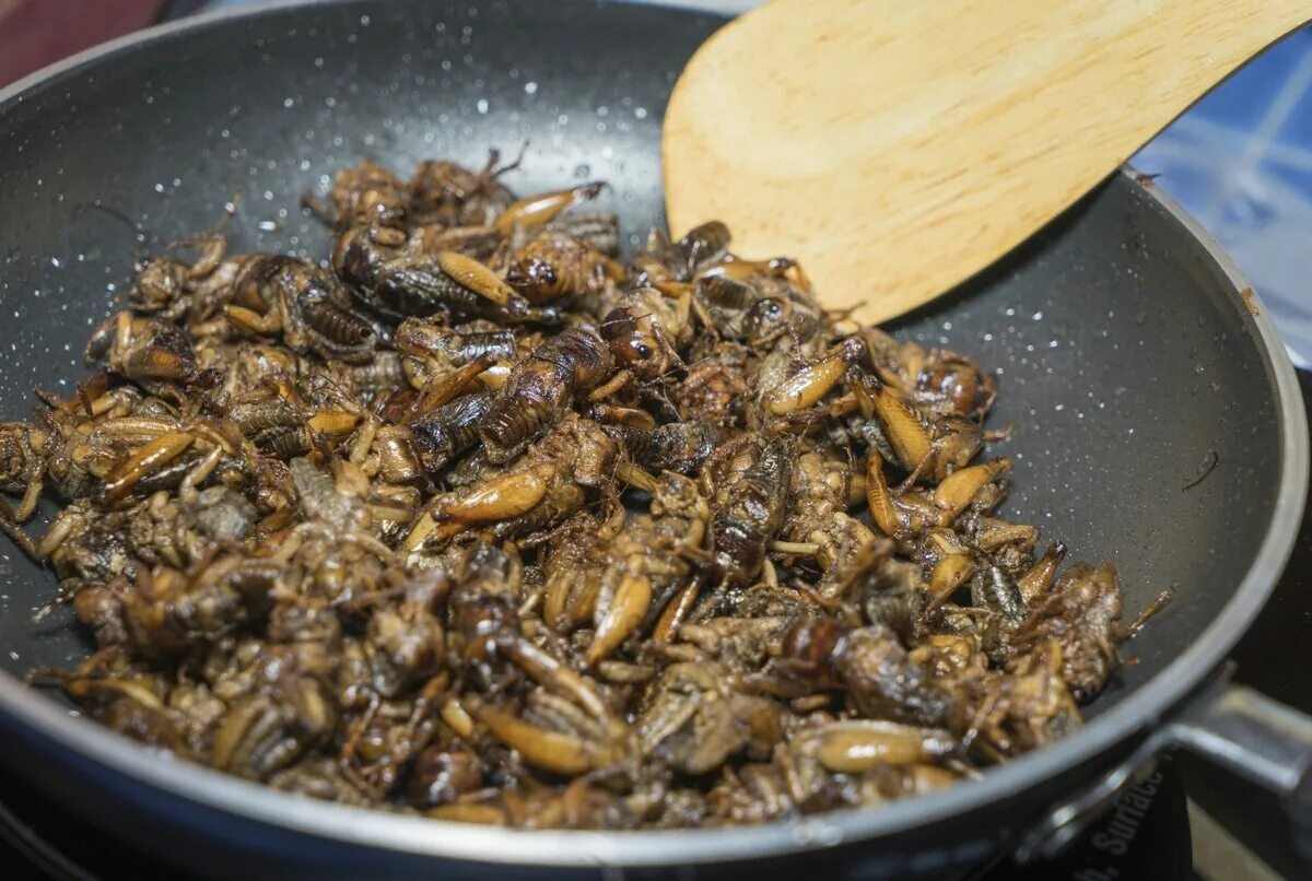 Вкусно жук