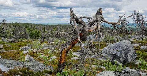 Карелия энергетические места