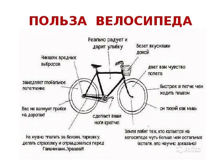 Польза велосипеда. Чем полезна езда на велосипеде. Чем полезно ездить на велосипеде. Презентация мой друг велосипед.