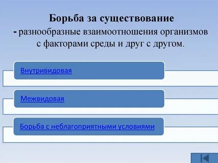 Существование организмов