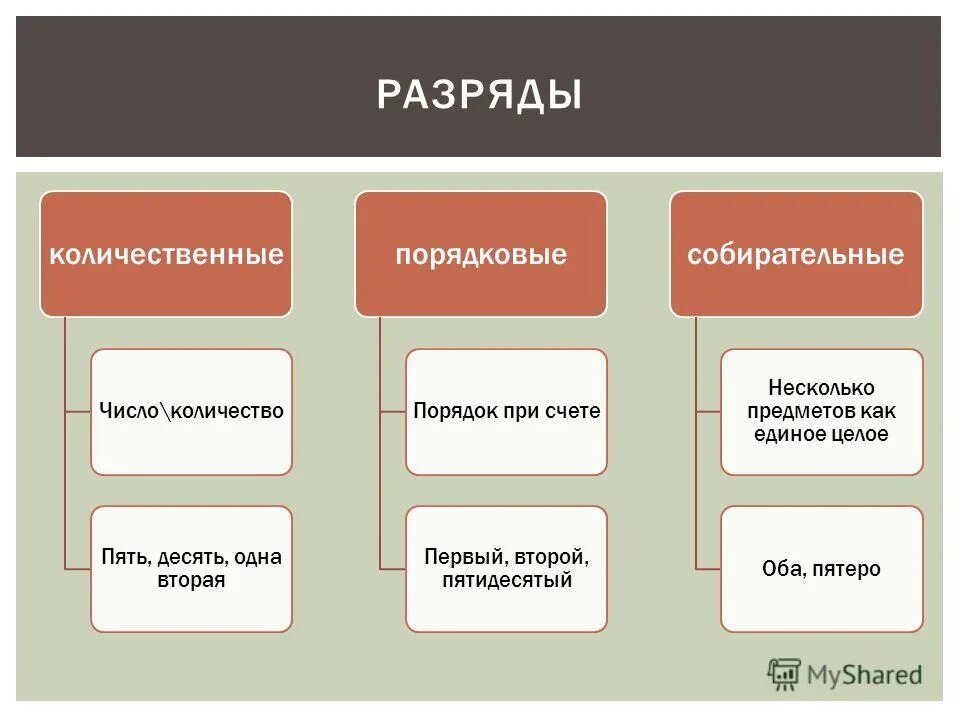 Неколичественные числительные примеры. Количественные числовые данные. Количественных непрерывных данных пример. Количес венные числите. Колисественные числите.