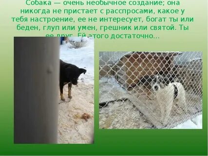 Никогда не приставали