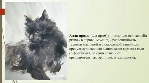 Прима что это