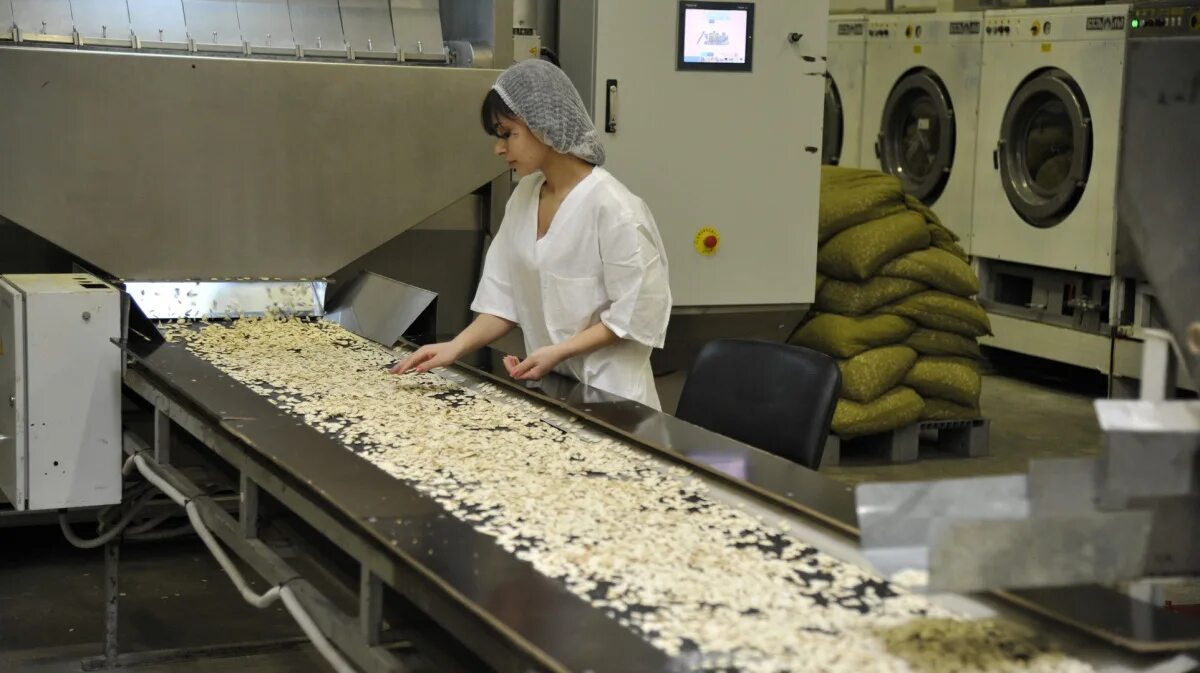 Яшкино ооо кдв" яшкино". Кдв воронеж рамонский район. Кондитерская фабрика кдв воронеж рамонь. Завод кдв в воронеже. Кдв воронеж фото.