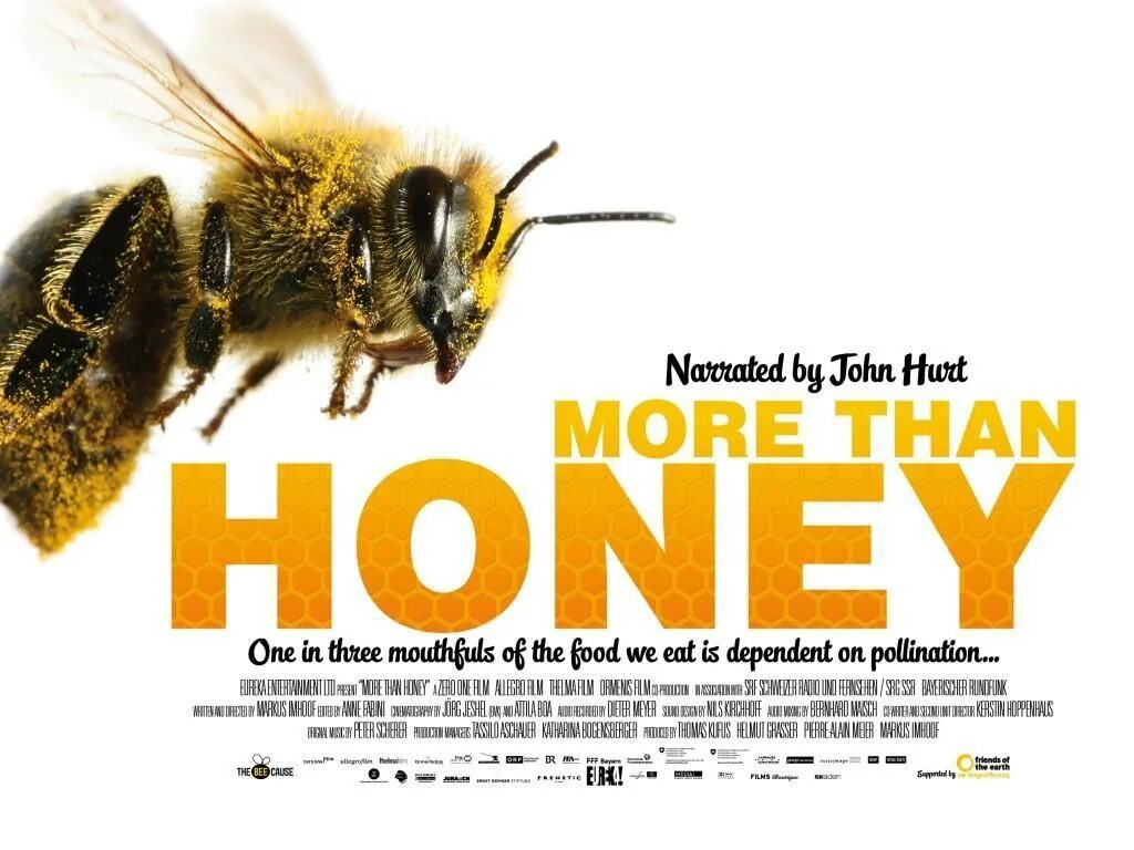 Больше чем мед (2012). More than Honey. Мёд Постер. Рекламный плакат про мед. Much honey