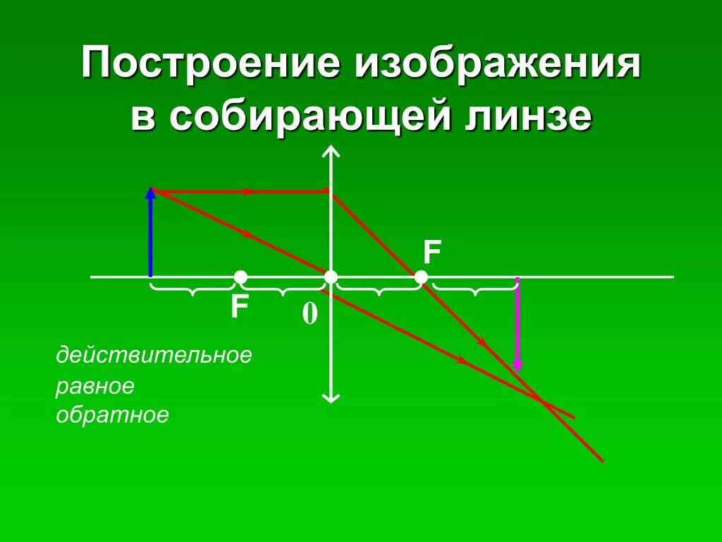 Изображение полученное собирающей линзой. Построение изображения в собирающей линзе f<d<2f. Собирающая линза d=f построение собирающая линза. Построение изображения предмета в собирающей линзе. Построить изображение в собирающей линзе.