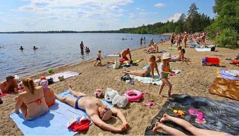 Карелия купаться. Пляж Пески Петрозаводск. Петрозаводск пляж на Онежском озере. Пляж в Петрозаводске на Онежском. Кондопога пляж.