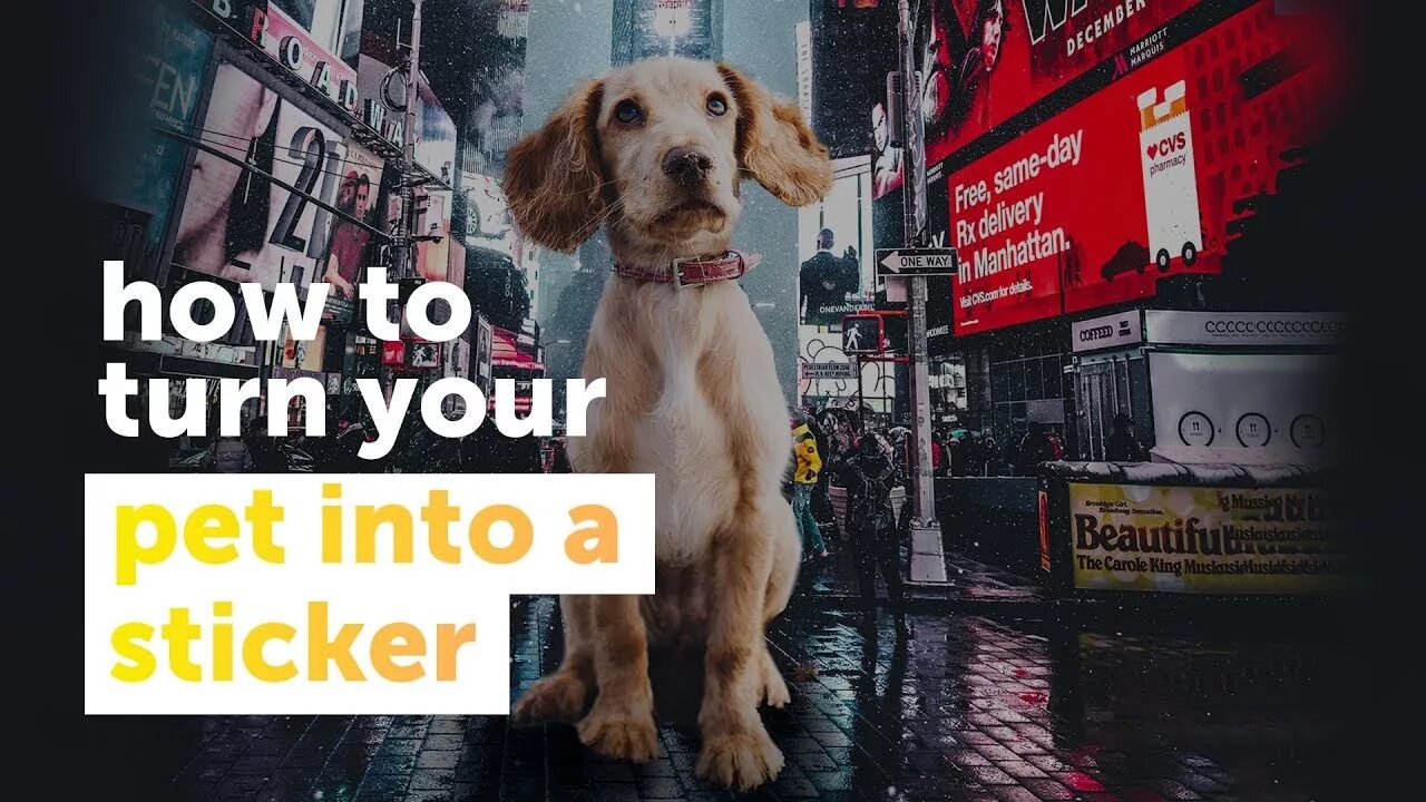 Can you turn into pet