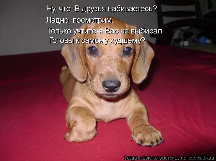 ладно приду посмотрю. ну ладно. фото я с тобой не разговариваю. поле чудес да ладно. ну ладно поверю.