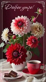 i?id=3f112e8c3086cd46c12dd1fae80dde6bcbae0043-4984053-images-thumbs&n=13