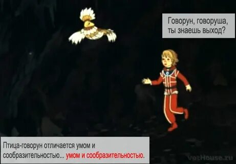 Птица говорун отличается умом
