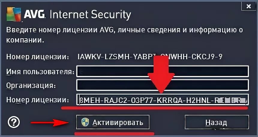 Введите номер лицензии