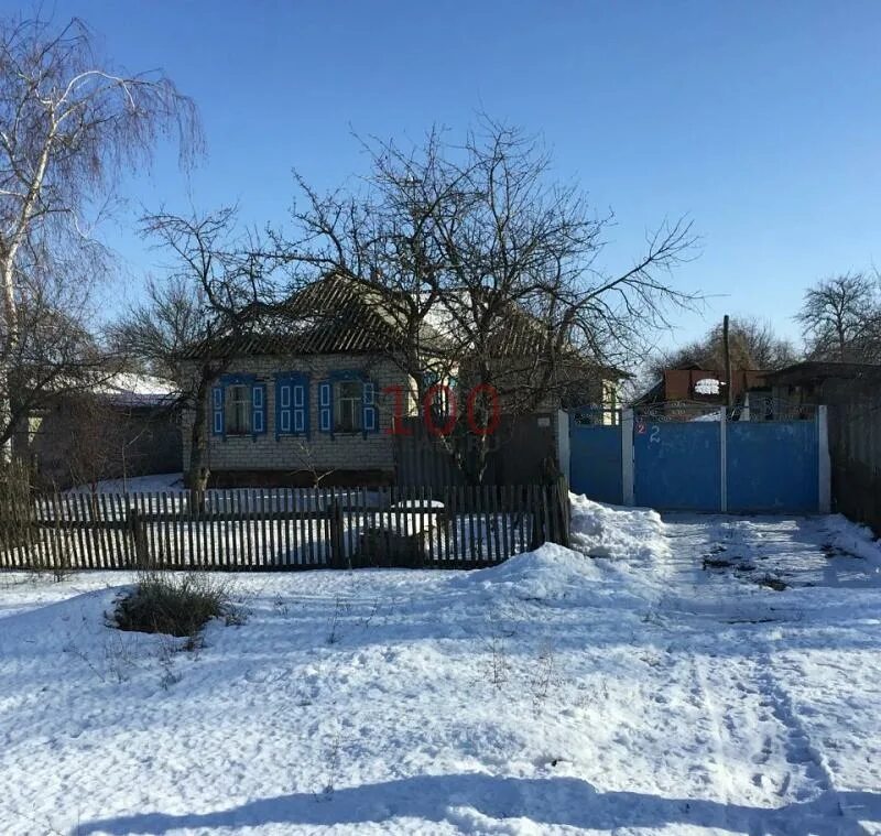 Воронежской обл. Заброшенный хутор. Солонцы воробьевский воронежская область. Заброшенные хутора яруга. Солонцы воронежская область.
