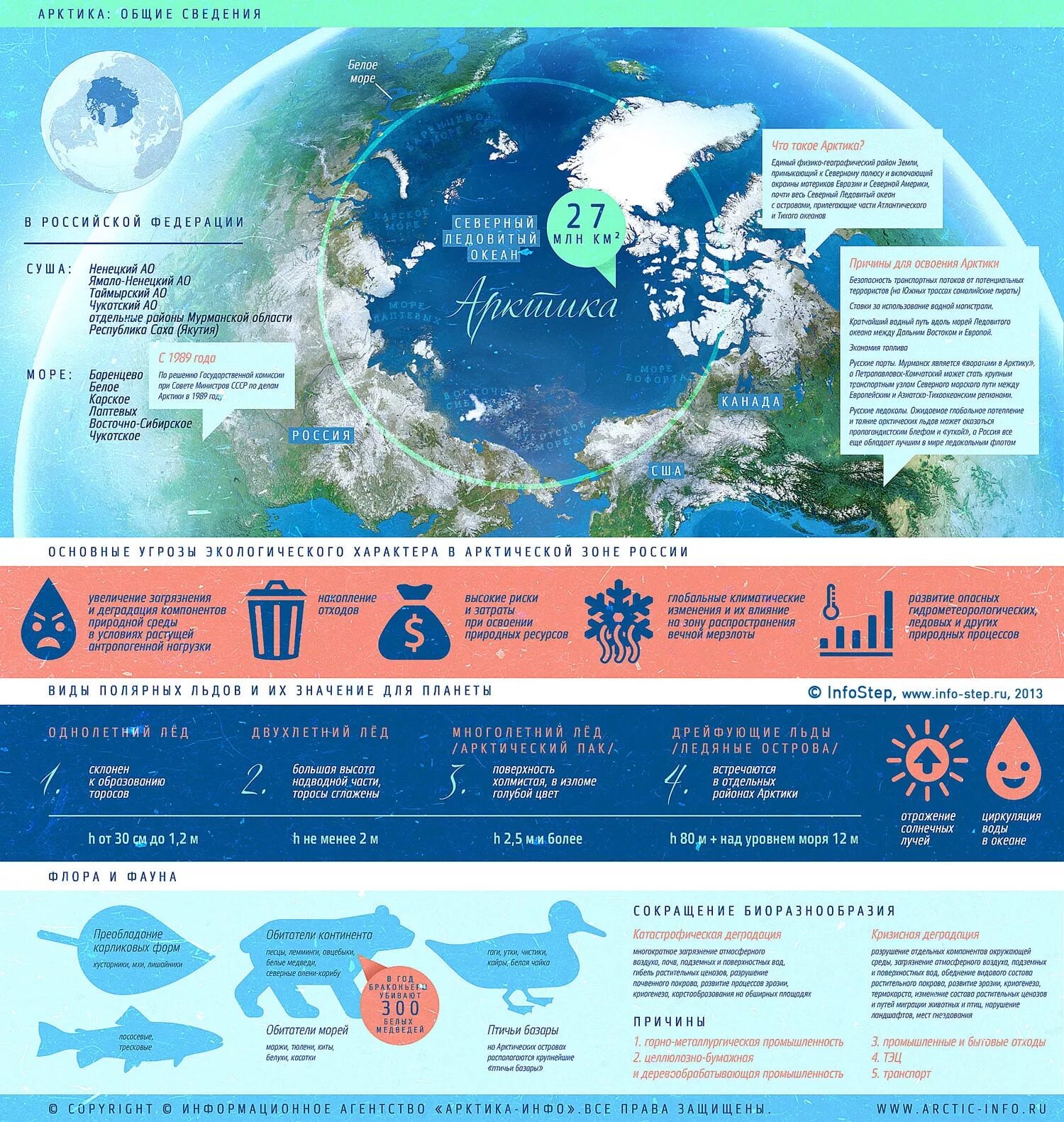 образование в арктической зоне
