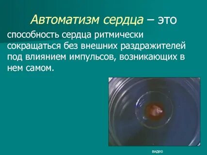 Автоматизм это способность