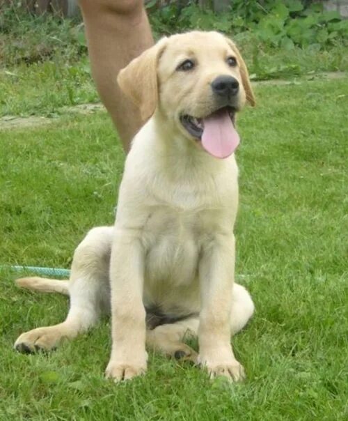 Кросвордявления природы. Явление 8 букв. Явление 8 букв. Кроссворд по природным явлениям. Ответы по кроссворду.