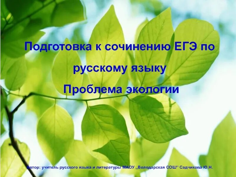 Егэ экология это ответы. Эссе экология. Сочинение про экологию. Экология русского языка. Вывод к сочинению по экологии.