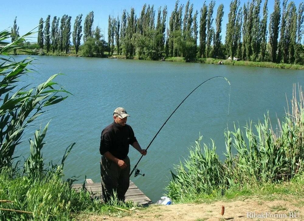 Платная рыбалка в крыму. Рыбалка на озере в Крыму. Платная рыбалка. Платное озеро для рыбалки.