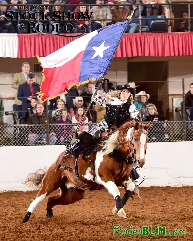 Rodeo speed. Родео в техасе. родео местность. rodeo show texas. rodeo show texas west.