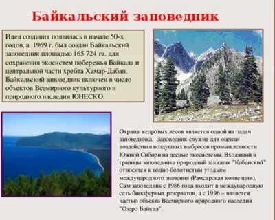 Байкальский заповедник сообщение
