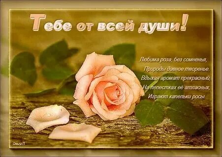 Песни от всей души когда была
