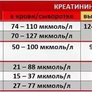 Анализ крови креатинин норма у женщин после 50 лет таблица. Креатинин норма у женщин после 60 в крови таблица. Креатинин норма в крови у женщин после 60 норма таблица. Креатинин норма у женщин после 60 в крови.