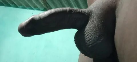 Pik homo pornofoto's 