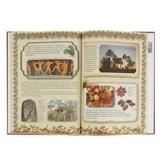 Книжка адрес