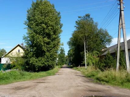 Погода опочецком районе псковской