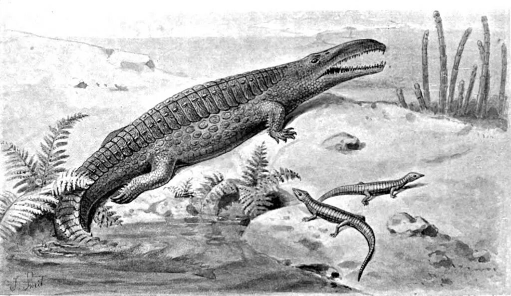 На рисунке изображен майаспондил вымершая рептилия. Архозавры мезозой. Архозавры Триасового периода. Крокодилы Триасового периода. Архозавры Эра.