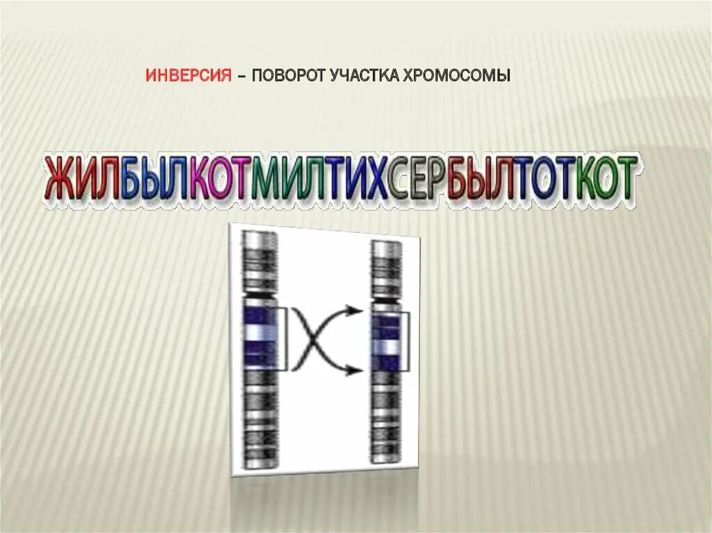 Инверсия участка хромосомы. Поворот участка хромосомы. Поворот участка хромосомы на 180° - это…. Поворот участка хромосомы на 180 гр. Поворот хромосом на 180 градусов