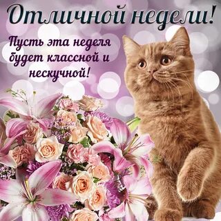 Удачного рабочего понедельника