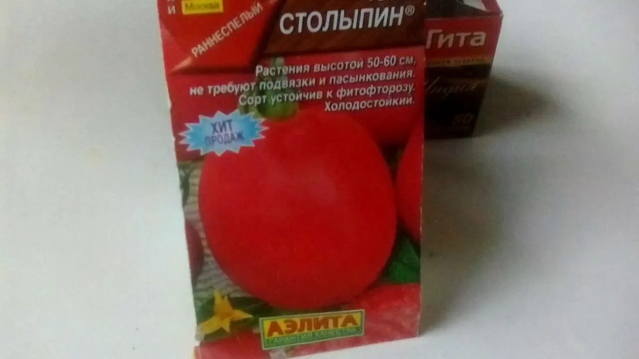 Столыпин розовый томат. Сорт помидор столыпин