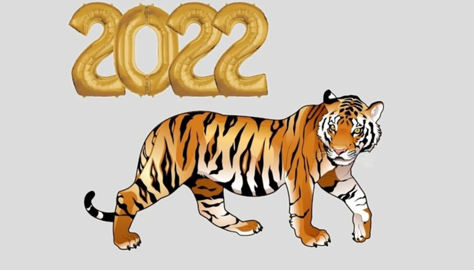 Какой тигр был в 2025. Год какого тигра 2025. год тигра 2025 какого тигра. тигр символ года 2025. год тигра 2025 символ.