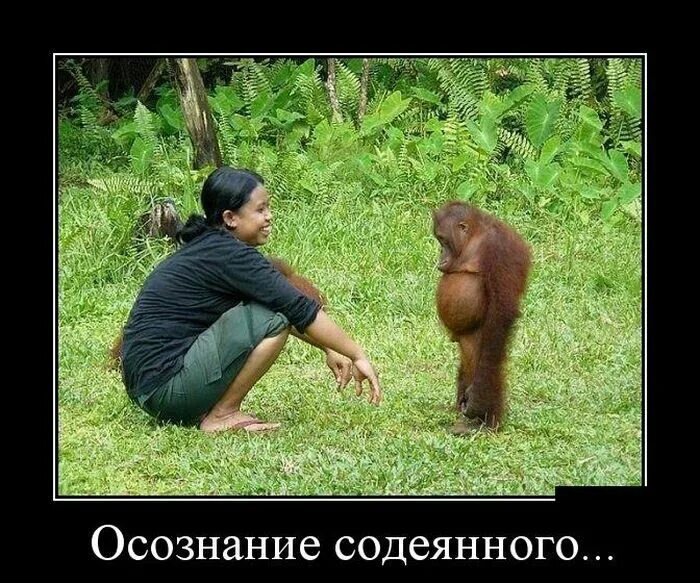 Он не любит так и знай