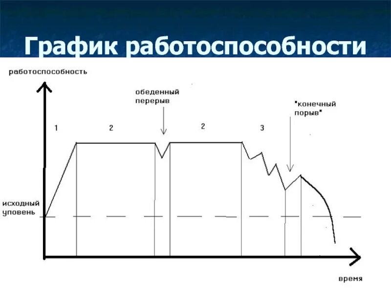 Ответим в течение рабочего