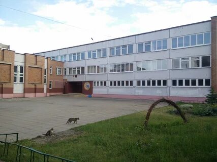 Средняя школа 173