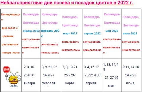 Лунный календарь цветов на март 24 года