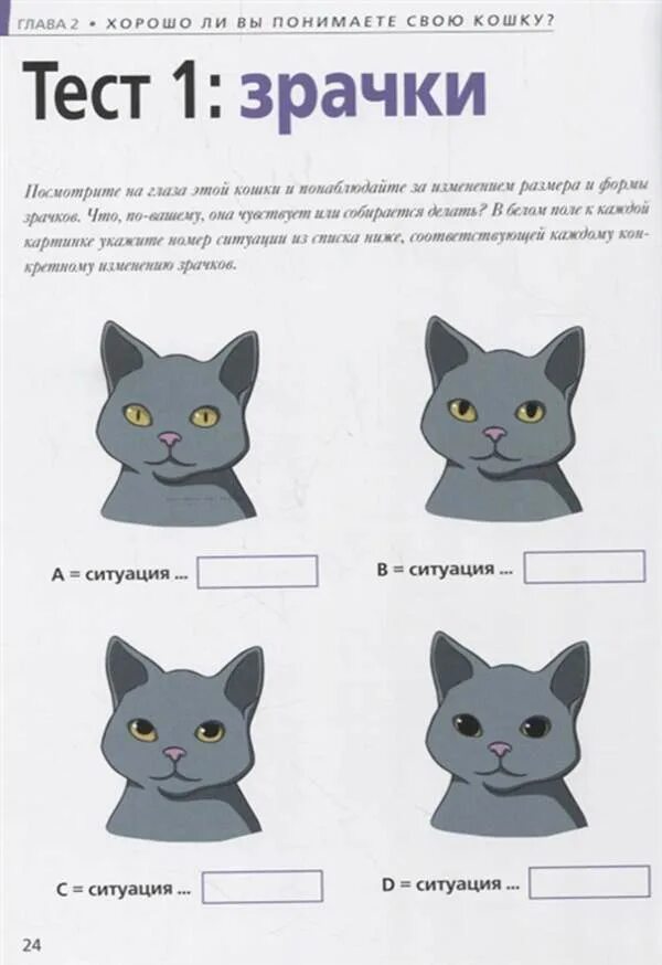 Язык хвоста у кошек. Жесты кошек. Как понять кошачий язык. Язык котят как понимать. Настроение котов по хвосту.